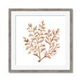 Picture of Orange Coral  _GroupedProduct_Square_Framed_Matted_