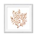 Picture of Orange Coral  _GroupedProduct_Square_Framed_Matted_