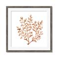 Picture of Orange Coral  _GroupedProduct_Square_Framed_Matted_