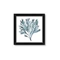 Picture of Teal Coral  _GroupedProduct_Square_Framed_Matted_