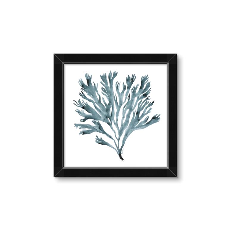 Picture of Teal Coral  _GroupedProduct_Square_Framed_Matted_