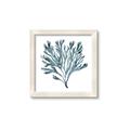 Picture of Teal Coral  _GroupedProduct_Square_Framed_Matted_