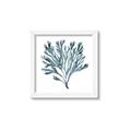 Picture of Teal Coral  _GroupedProduct_Square_Framed_Matted_