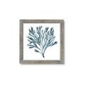 Picture of Teal Coral  _GroupedProduct_Square_Framed_Matted_