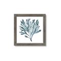 Picture of Teal Coral  _GroupedProduct_Square_Framed_Matted_