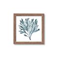 Picture of Teal Coral  _GroupedProduct_Square_Framed_Matted_