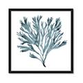 Picture of Teal Coral  _GroupedProduct_Square_Framed_Matted_