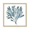 Picture of Teal Coral  _GroupedProduct_Square_Framed_Matted_