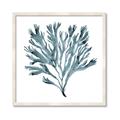 Picture of Teal Coral  _GroupedProduct_Square_Framed_Matted_