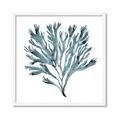 Picture of Teal Coral  _GroupedProduct_Square_Framed_Matted_