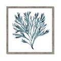 Picture of Teal Coral  _GroupedProduct_Square_Framed_Matted_