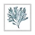 Picture of Teal Coral  _GroupedProduct_Square_Framed_Matted_