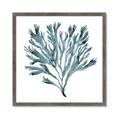 Picture of Teal Coral  _GroupedProduct_Square_Framed_Matted_