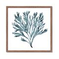 Picture of Teal Coral  _GroupedProduct_Square_Framed_Matted_