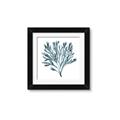 Picture of Teal Coral  _GroupedProduct_Square_Framed_Matted_