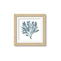 Picture of Teal Coral  _GroupedProduct_Square_Framed_Matted_
