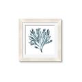 Picture of Teal Coral  _GroupedProduct_Square_Framed_Matted_
