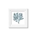 Picture of Teal Coral  _GroupedProduct_Square_Framed_Matted_