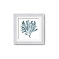 Picture of Teal Coral  _GroupedProduct_Square_Framed_Matted_