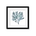 Picture of Teal Coral  _GroupedProduct_Square_Framed_Matted_