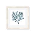 Picture of Teal Coral  _GroupedProduct_Square_Framed_Matted_