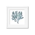 Picture of Teal Coral  _GroupedProduct_Square_Framed_Matted_
