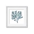Picture of Teal Coral  _GroupedProduct_Square_Framed_Matted_