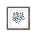 Picture of Teal Coral  _GroupedProduct_Square_Framed_Matted_
