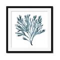 Picture of Teal Coral  _GroupedProduct_Square_Framed_Matted_