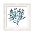 Picture of Teal Coral  _GroupedProduct_Square_Framed_Matted_