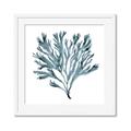 Picture of Teal Coral  _GroupedProduct_Square_Framed_Matted_