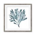 Picture of Teal Coral  _GroupedProduct_Square_Framed_Matted_