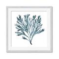 Picture of Teal Coral  _GroupedProduct_Square_Framed_Matted_