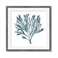 Picture of Teal Coral  _GroupedProduct_Square_Framed_Matted_