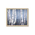 Picture of Plain White Birches _GroupedProduct_Rectangle_Landscape_Framed_Matted_