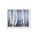 Picture of Plain White Birches _GroupedProduct_Rectangle_Landscape_Framed_Matted_
