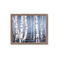 Picture of Plain White Birches _GroupedProduct_Rectangle_Landscape_Framed_Matted_