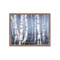Picture of Plain White Birches _GroupedProduct_Rectangle_Landscape_Framed_Matted_