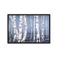 Picture of Plain White Birches _GroupedProduct_Rectangle_Landscape_Framed_Matted_
