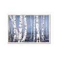 Picture of Plain White Birches _GroupedProduct_Rectangle_Landscape_Framed_Matted_