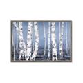 Picture of Plain White Birches _GroupedProduct_Rectangle_Landscape_Framed_Matted_