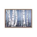 Picture of Plain White Birches _GroupedProduct_Rectangle_Landscape_Framed_Matted_