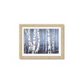 Picture of Plain White Birches _GroupedProduct_Rectangle_Landscape_Framed_Matted_