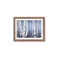 Picture of Plain White Birches _GroupedProduct_Rectangle_Landscape_Framed_Matted_