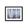 Picture of Plain White Birches _GroupedProduct_Rectangle_Landscape_Framed_Matted_