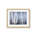 Picture of Plain White Birches _GroupedProduct_Rectangle_Landscape_Framed_Matted_