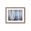 Picture of Plain White Birches _GroupedProduct_Rectangle_Landscape_Framed_Matted_