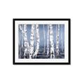 Picture of Plain White Birches _GroupedProduct_Rectangle_Landscape_Framed_Matted_
