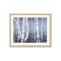 Picture of Plain White Birches _GroupedProduct_Rectangle_Landscape_Framed_Matted_