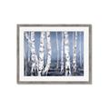 Picture of Plain White Birches _GroupedProduct_Rectangle_Landscape_Framed_Matted_